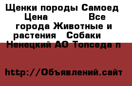 Щенки породы Самоед › Цена ­ 20 000 - Все города Животные и растения » Собаки   . Ненецкий АО,Топседа п.